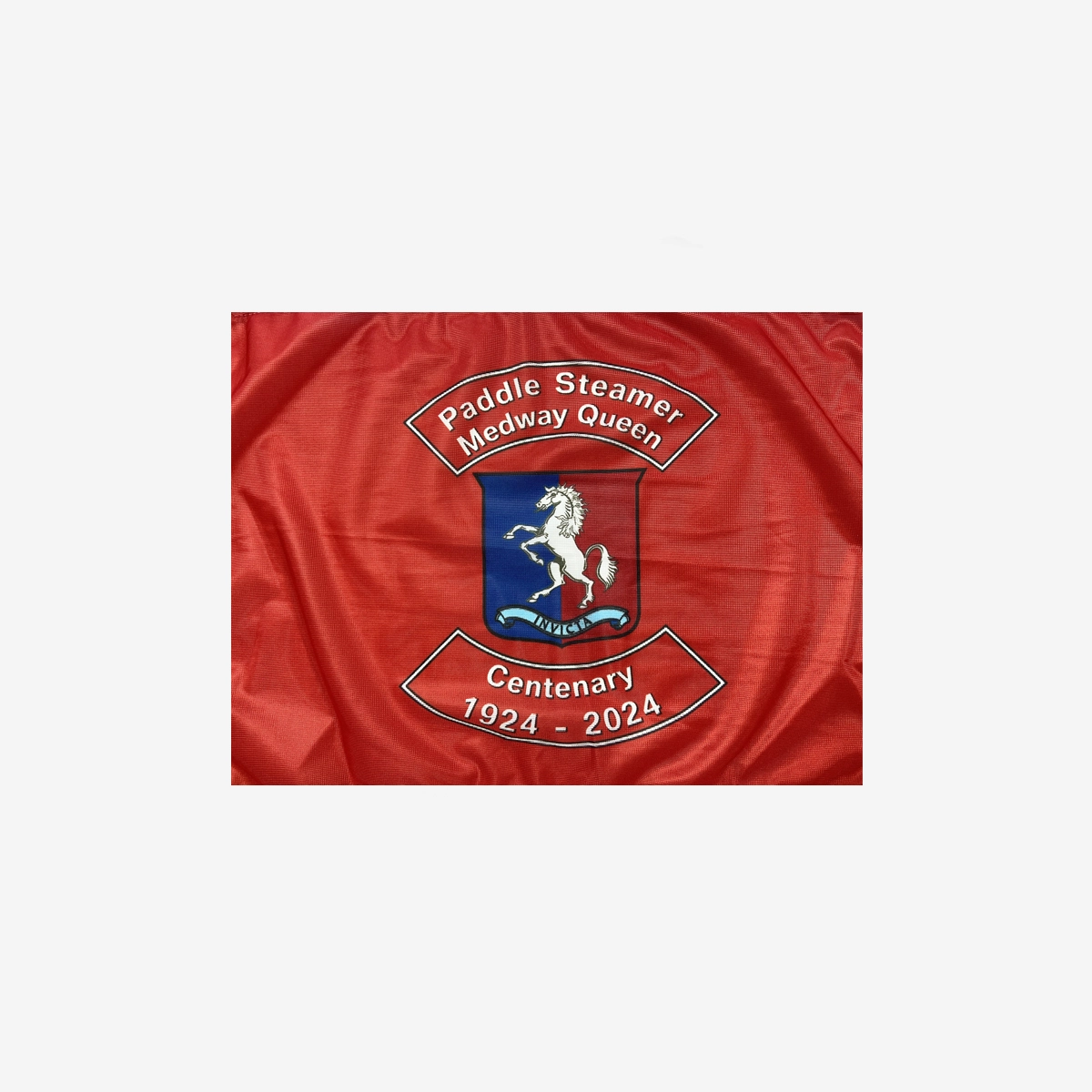 Centenary pennant - view 2